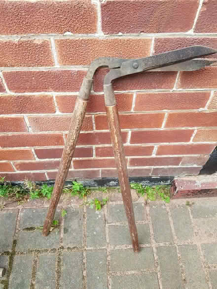 Photo of free Garden Edging Shears (CH47) #1
