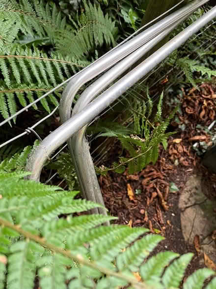 Photo of free Garden plant frame poles (Musbury) #1