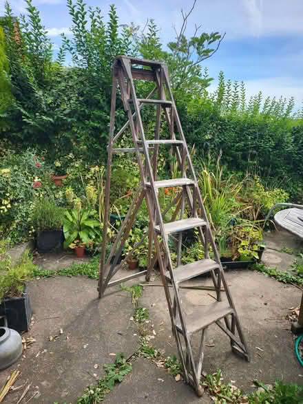 Photo of free Wooden stepladder (Horsley Woodhouse CP DE7) #1