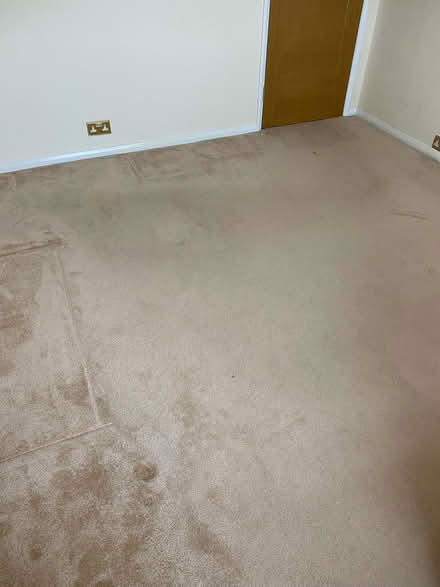 Photo of free Carpet approx 3.7m x 3.0m (King's College Playing Fields HA4) #1