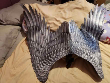 Photo of free Fancy dress wings (Kendal LA9) #2