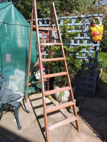Photo of free Step ladders (Longton) #1