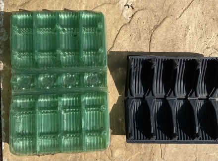 Photo of free Deep root trainers (OX28, Witney) #1