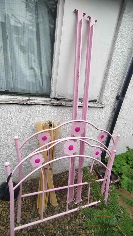 Photo of free Single bed frame (Starbeck) #1