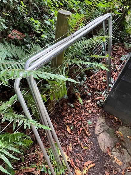 Photo of free Garden plant frame poles (Musbury) #2
