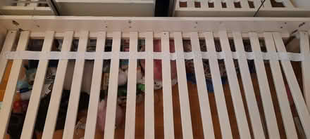 Photo of free Feather and Black Noahs bed (KT6) #2