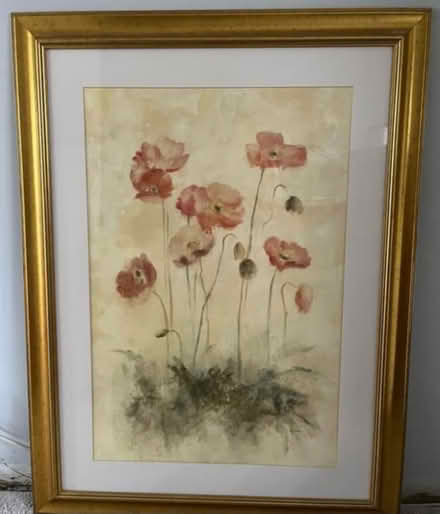 Photo of free Large Poppy Print in frame (HP1) #1