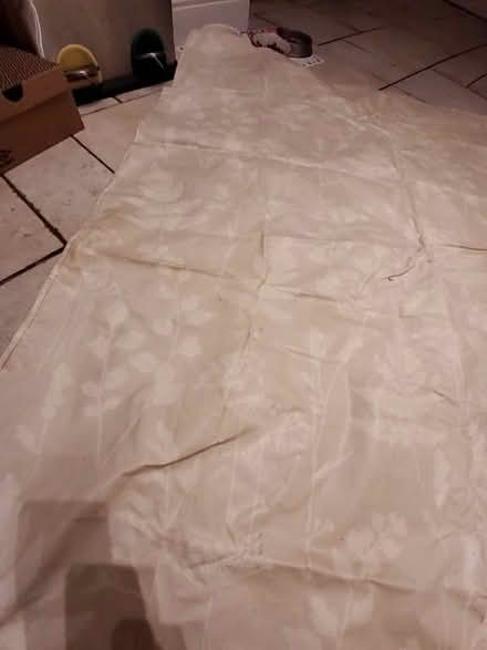 Photo of free Next waterproof table cloth (Bromley BR3) #2