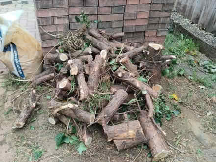 Photo of free Timber logs for burning (MK42) #2