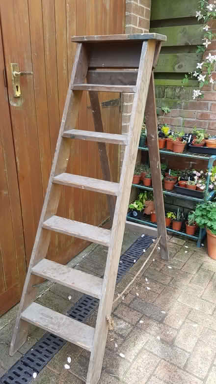 Photo of free Stepladder (Horsley Woodhouse CP DE7) #1