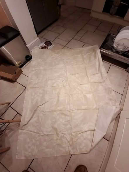 Photo of free Next waterproof table cloth (Bromley BR3) #1