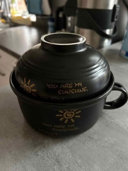 Photo of free Large bowl with lid (Gateford S81) #1