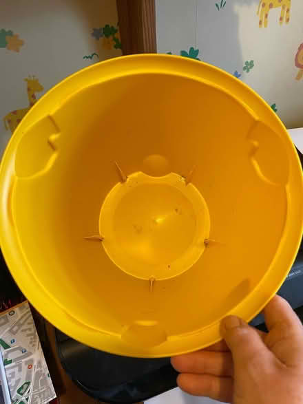 Photo of free Curver lidded lion face bin (South Hounslow off Central Av) #3