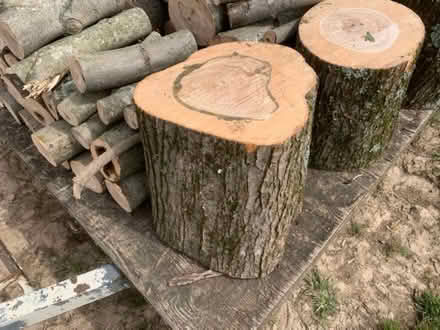 Photo of Tree stump rounds (Yeovil) #1