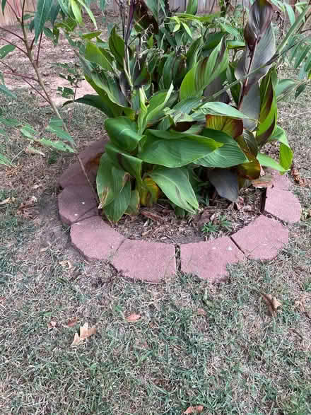 Photo of free Garden border bricks & cinderblocks (Piedmont) #2