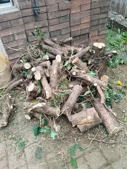 Photo of free Timber logs for burning (MK42) #1