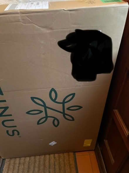 Photo of free European Single Bed Frame (Pembury) #2