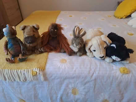 Photo of free Soft toys (Surrey Heath GU16) #1