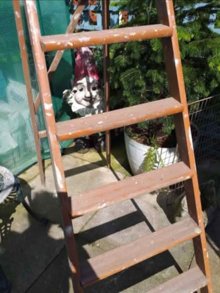 Photo of free Step ladders (Longton) #2