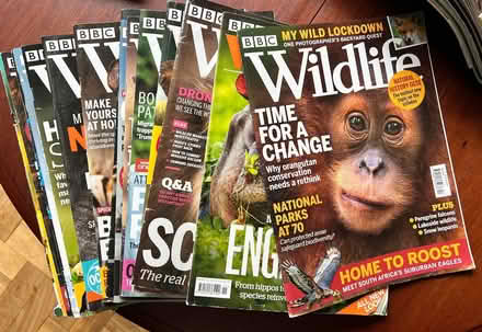 Photo of free Kids “Science and Nature” and “BBC Wildlife” magazine (Wimbledon Village SW19) #2