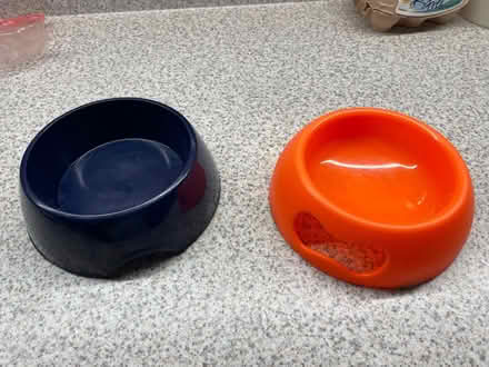 Photo of free Pet bowls (North Ascot SL5) #1