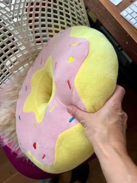 Photo of free Soft, round donut cushion 42cm by 15cm. (Surbiton KT1) #2