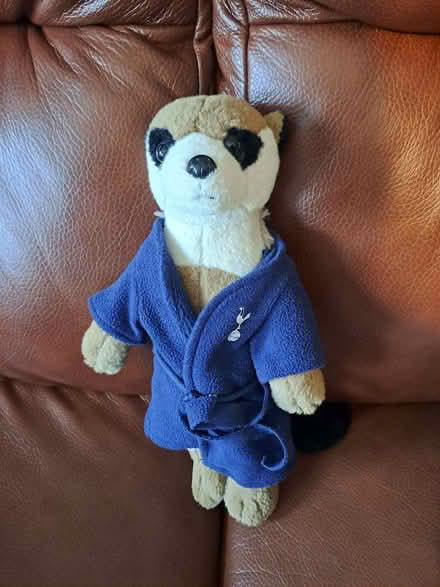 Photo of free Tottenham Hotspur toy meerkat (Surrey Heath GU16) #1