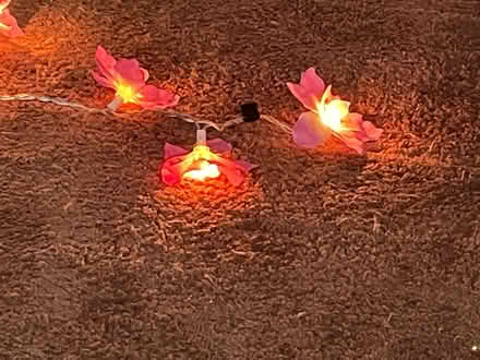 Photo of free Lights (Tilgate) #2