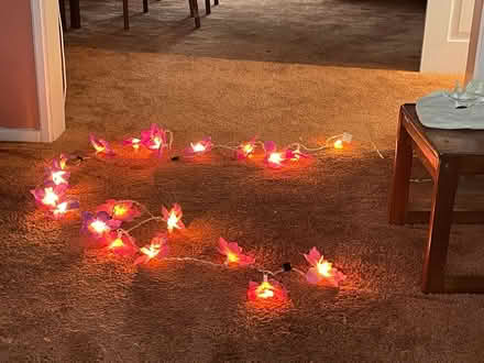 Photo of free Lights (Tilgate) #1