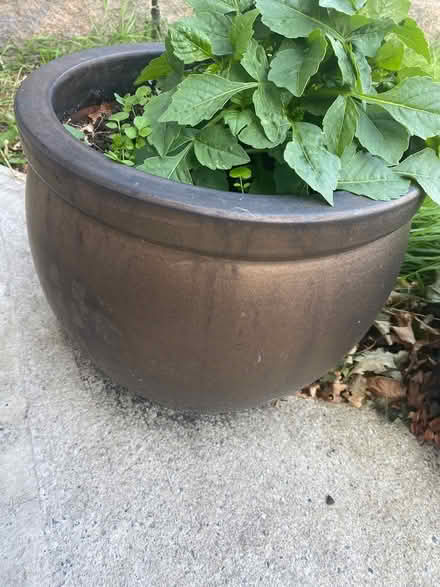 Photo of free Two garden pots (Sandyford) #2