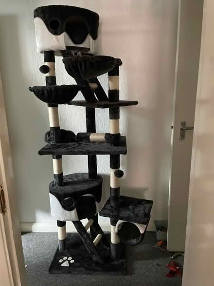 Photo of free Large cat tree (E10) #1