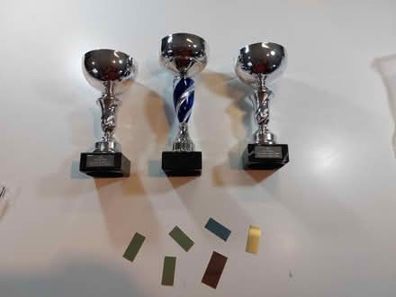 Photo of free Trophies (Caversfield, Bicester, OX27) #1