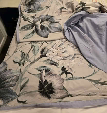 Photo of free Queen Duvet and Pillow shams (Hwy 124 Auburn, GA) #2