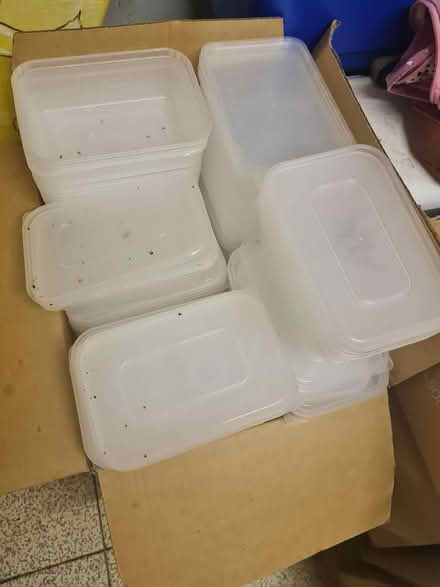 Photo of free Clean used takeaway containers (Ashtead) #1