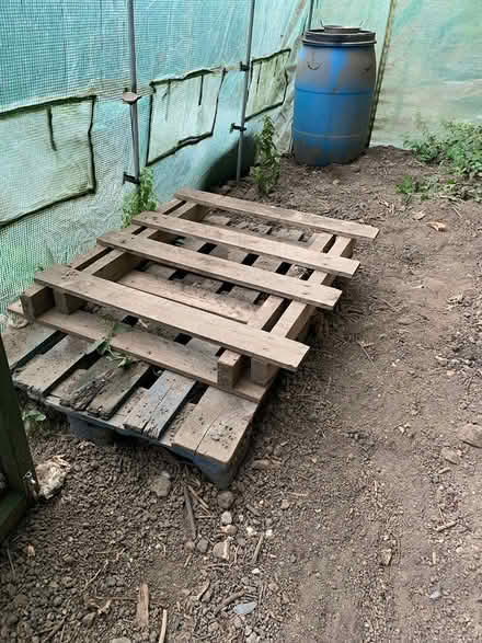 Photo of free Pallets (CT14) #1