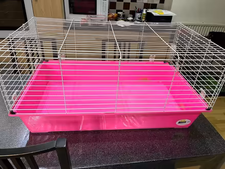 Photo of free Guinea pig cage. (Nuthall NG16) #1