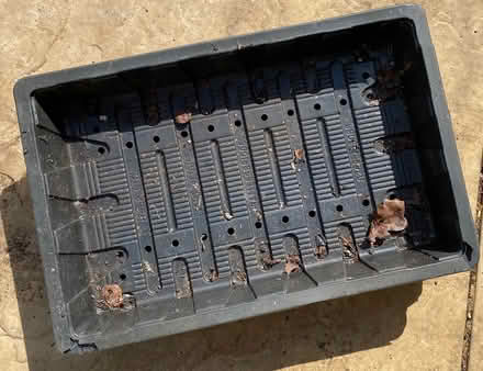 Photo of free Seed trays (OX28, Witney) #1