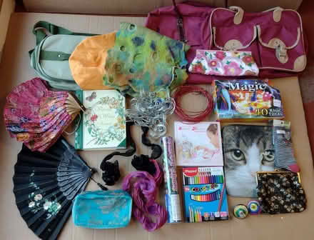 Photo of free various decorative household items and accessories (Elswick NE4) #2