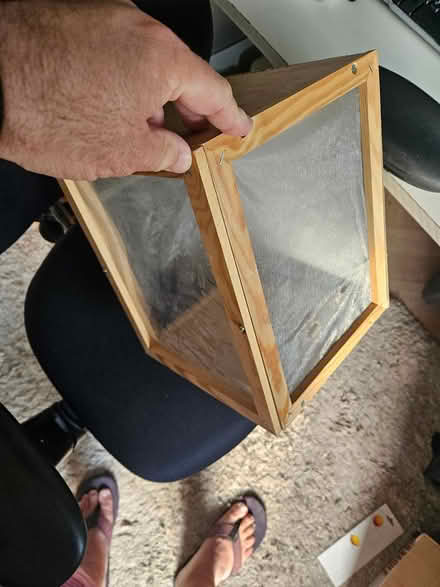 Photo of free Stick insect case/habitat (West Abergavenny) #1