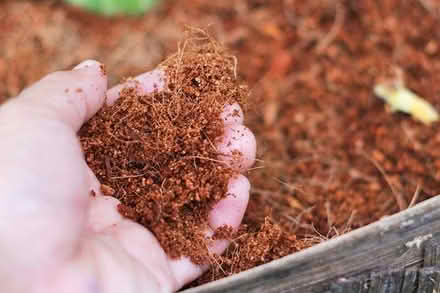 Photo of Gardening compost & coconut coir (Knotty Ash L12) #1