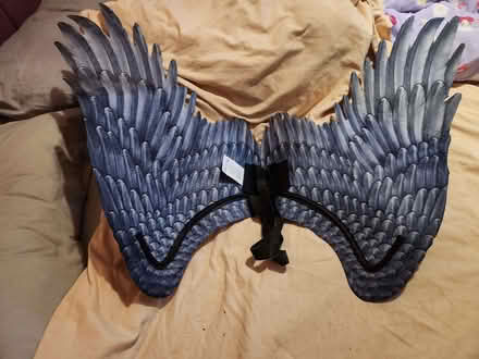 Photo of free Fancy dress wings (Kendal LA9) #1