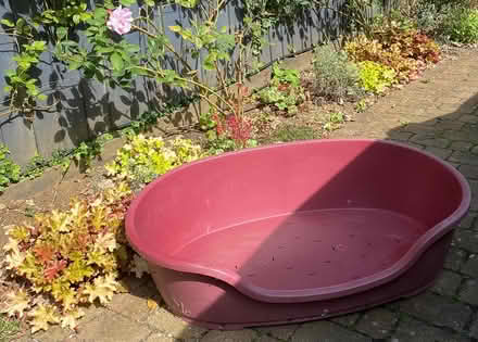 Photo of free Large plastic dog bed (OX28, Witney) #1
