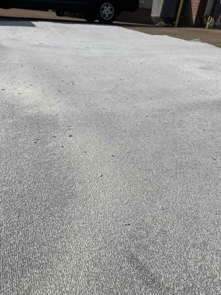 Photo of free Carpet (Westhampnett PO19) #2