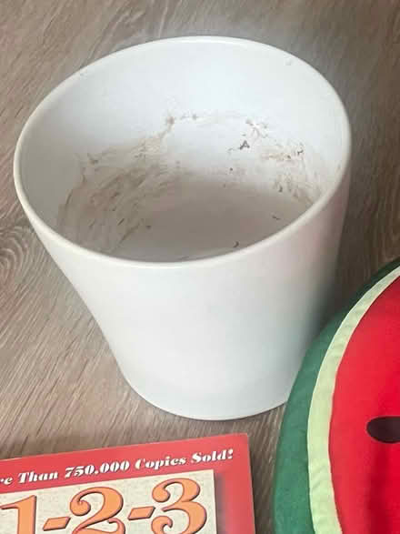 Photo of free White plant pot (Tonbridge) #1