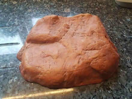 Photo of free Vivarium artificial rock (Bedford MK41) #2