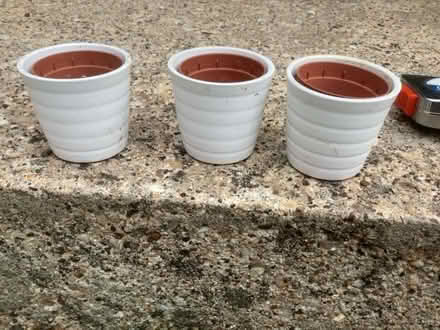Photo of free Small plant pots (New Hinksey OX1) #1