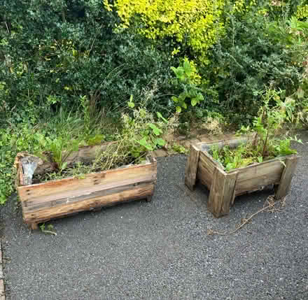 Photo of free 2 planters (Parkgate CH64) #1
