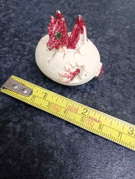Photo of free Hatching dragon (Maidstone ME15) #1