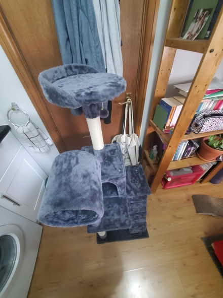 Photo of free Cat tree (Kentish Town West NW5) #2