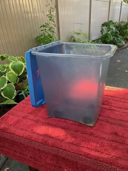 Photo of free Plastic bin w/wheels (Lake Forest Park) #2